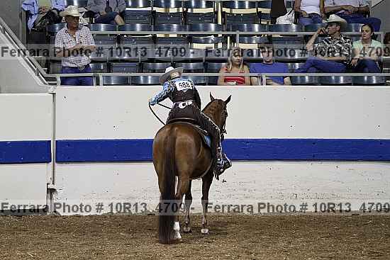 Proof Number 10r13_4709
