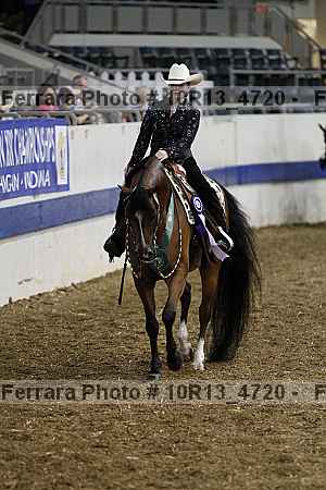 Proof Number 10r13_4720