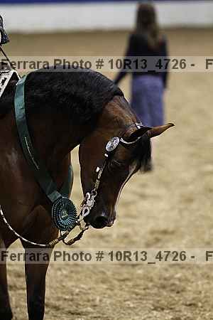 Proof Number 10r13_4726