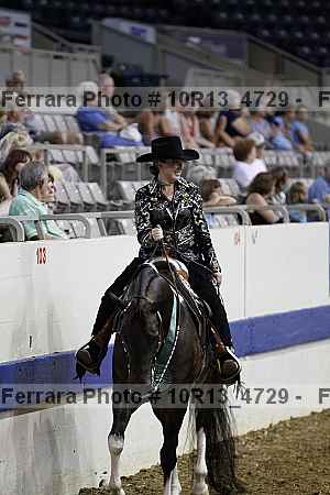 Proof Number 10r13_4729
