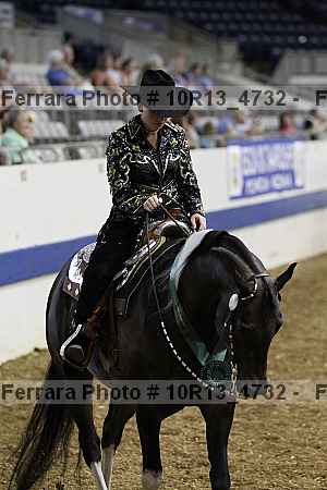 Proof Number 10r13_4732