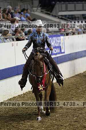 Proof Number 10r13_4738