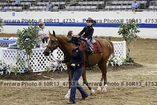 Proof Number 10r13_4753
