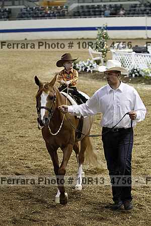Proof Number 10r13_4756