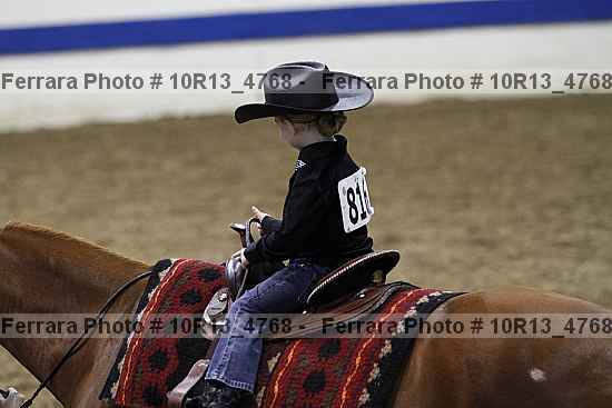 Proof Number 10r13_4768