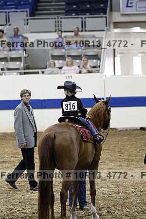 Proof Number 10r13_4772