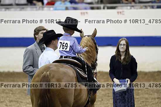 Proof Number 10r13_4785