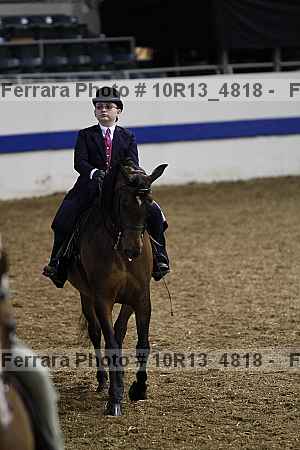 Proof Number 10r13_4818