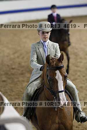 Proof Number 10r13_4819