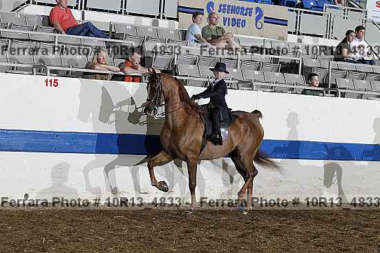 Proof Number 10r13_4833