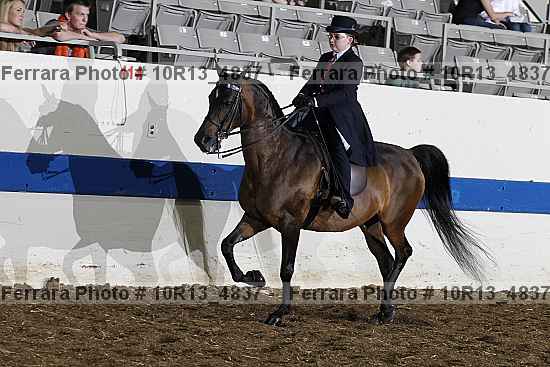 Proof Number 10r13_4837