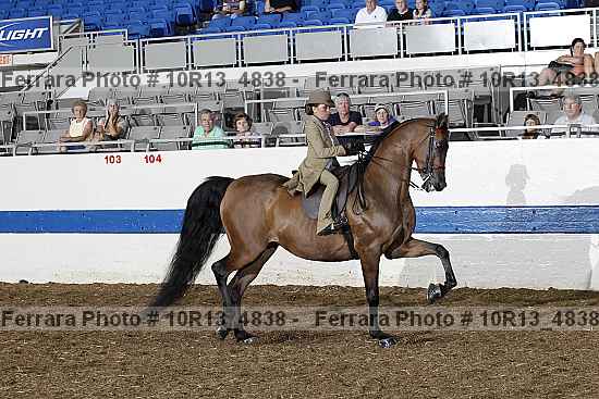 Proof Number 10r13_4838