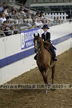 Proof Number 10r13_4849