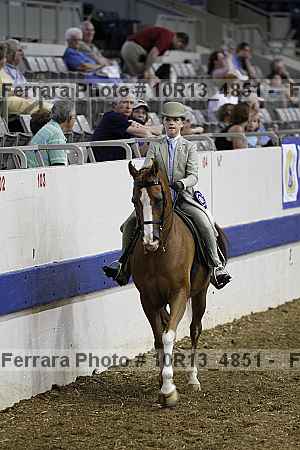Proof Number 10r13_4851
