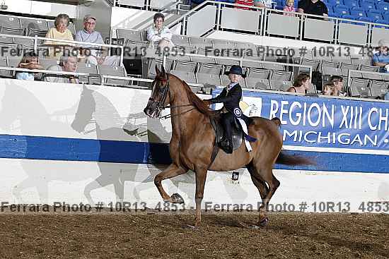 Proof Number 10r13_4853