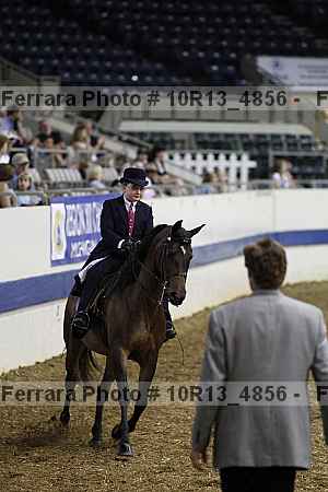 Proof Number 10r13_4856