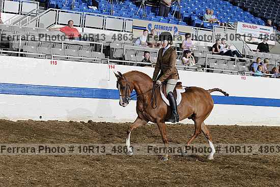 Proof Number 10r13_4863