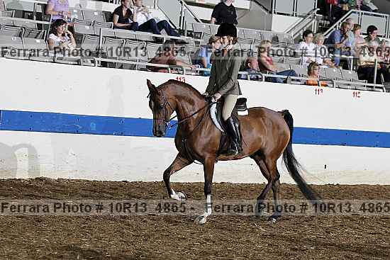Proof Number 10r13_4865