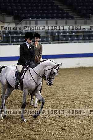 Proof Number 10r13_4868