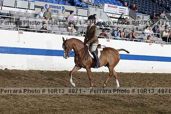 Proof Number 10r13_4871