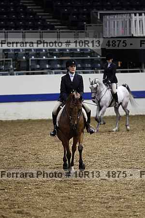 Proof Number 10r13_4875