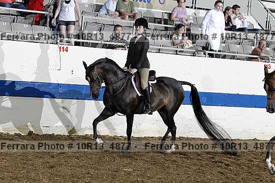 Proof Number 10r13_4877