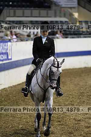 Proof Number 10r13_4879