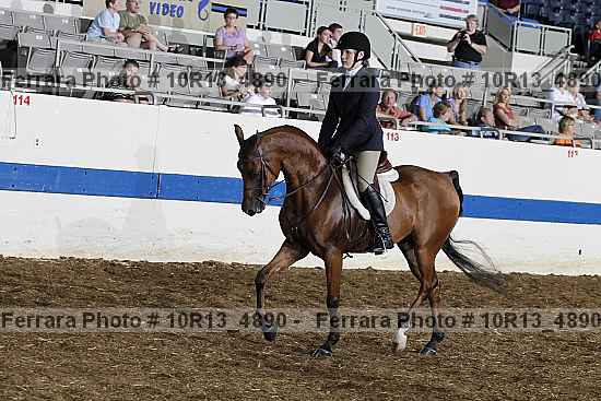 Proof Number 10r13_4890