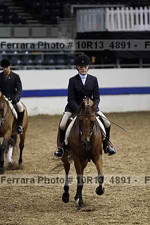 Proof Number 10r13_4891