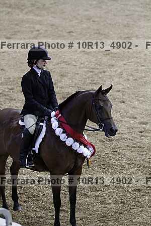 Proof Number 10r13_4902