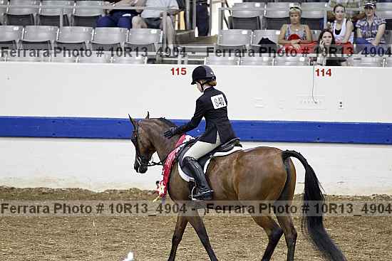 Proof Number 10r13_4904