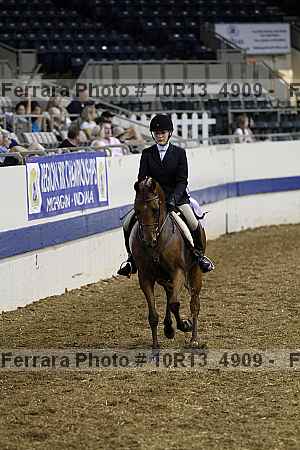 Proof Number 10r13_4909