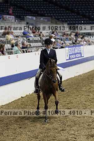 Proof Number 10r13_4910