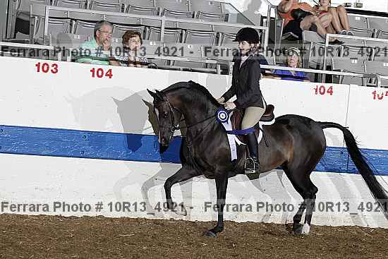 Proof Number 10r13_4921