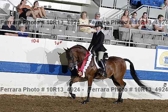 Proof Number 10r13_4924