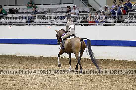 Proof Number 10r13_4925