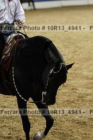 Proof Number 10r13_4941