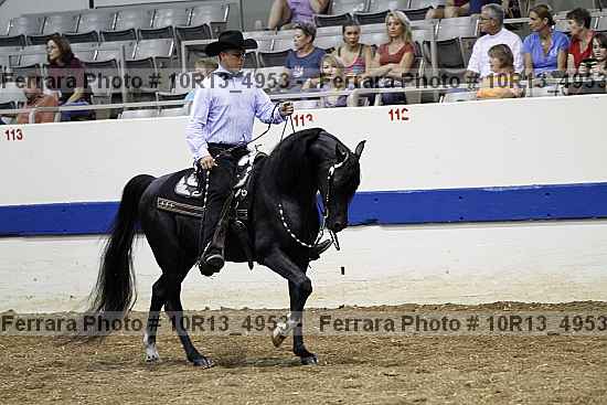 Proof Number 10r13_4953