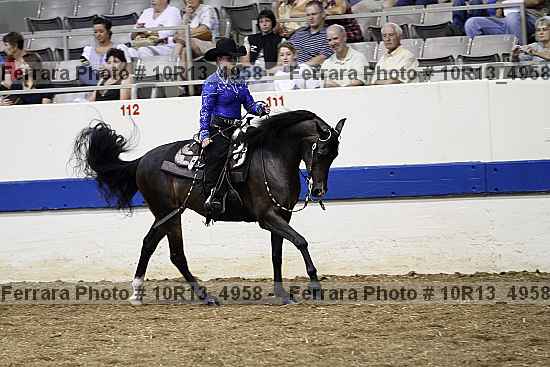 Proof Number 10r13_4958