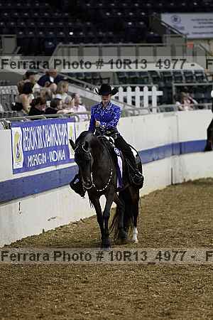 Proof Number 10r13_4977
