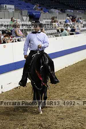 Proof Number 10r13_4992