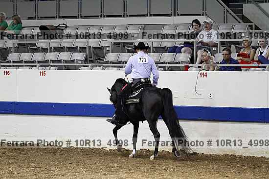 Proof Number 10r13_4998