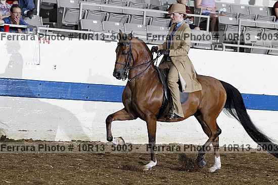 Proof Number 10r13_5003