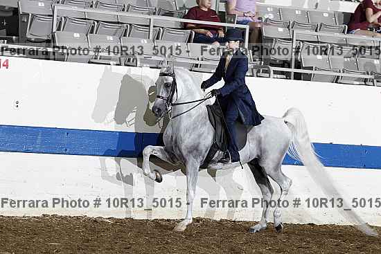 Proof Number 10r13_5015