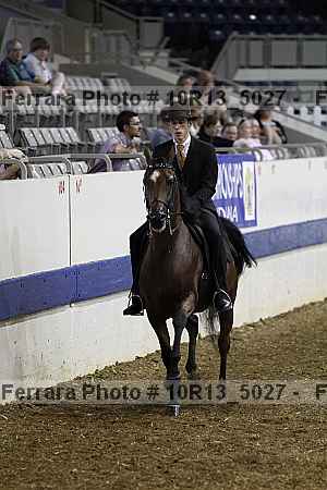 Proof Number 10r13_5027