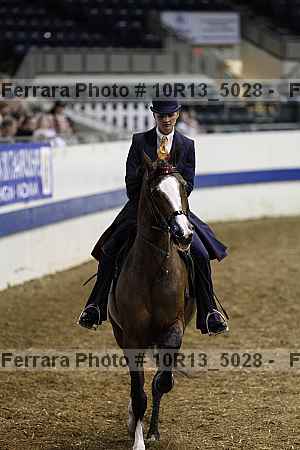 Proof Number 10r13_5028