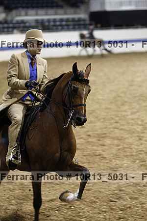 Proof Number 10r13_5031