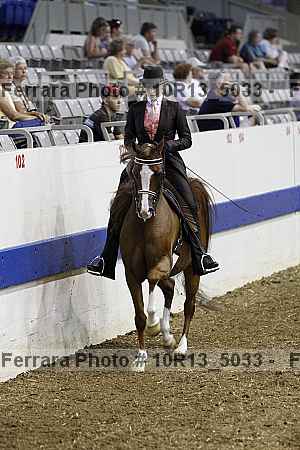 Proof Number 10r13_5033