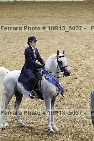 Proof Number 10r13_5037