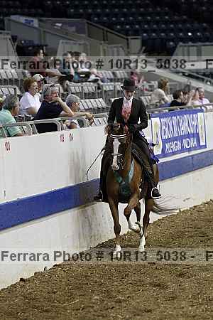Proof Number 10r13_5038